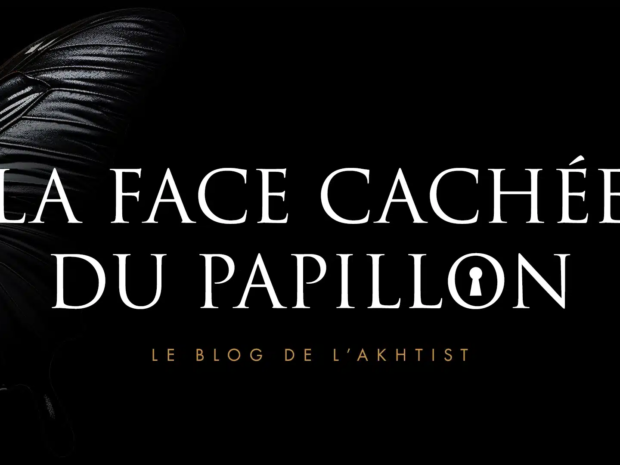 face cachée papillon